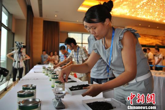 两岸茶王赛展开PK福建铁观音借力跻身台湾市场