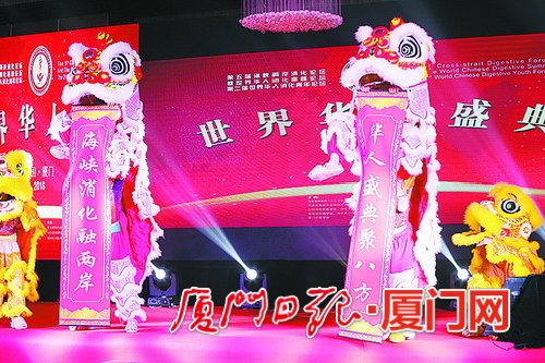 开幕式当晚举行了世界华人盛典晚会，呈现了传统的舞狮表演。