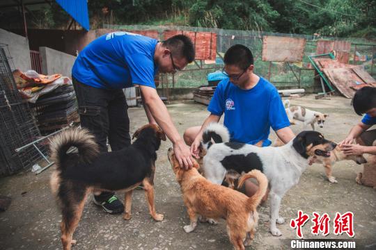 图为志愿者与小动物们一同玩耍。　李南轩 摄